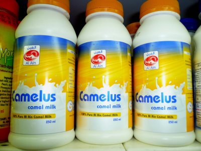 Camel Milk (Image Source: http://jasminengpl.blogspot.com)