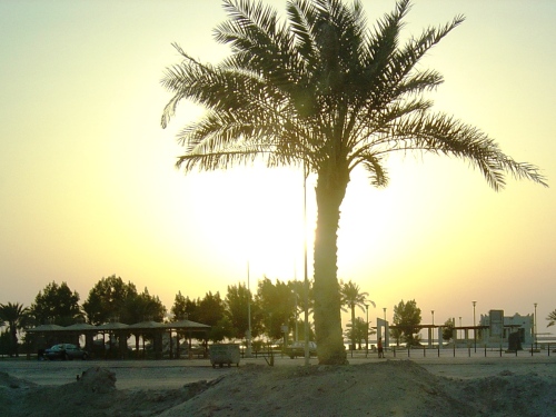 Sun setting over beach, Bahrain.